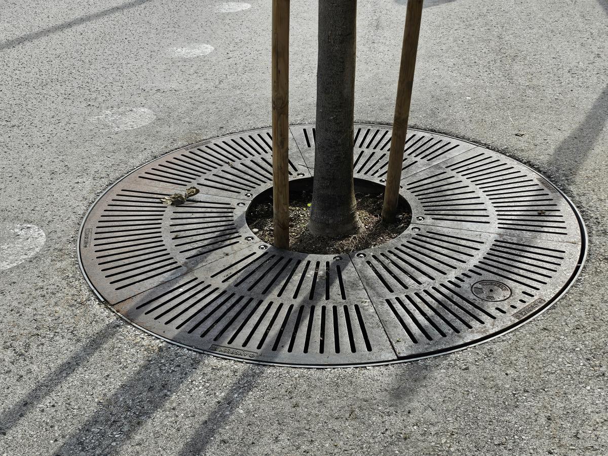 Gitter Baumrigole im Straßenraum eingelassen.