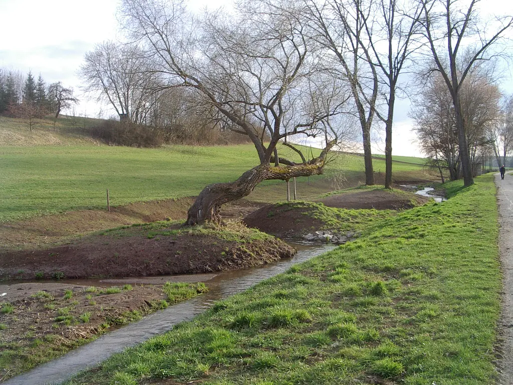 Aufgeweiteter Bachlauf.