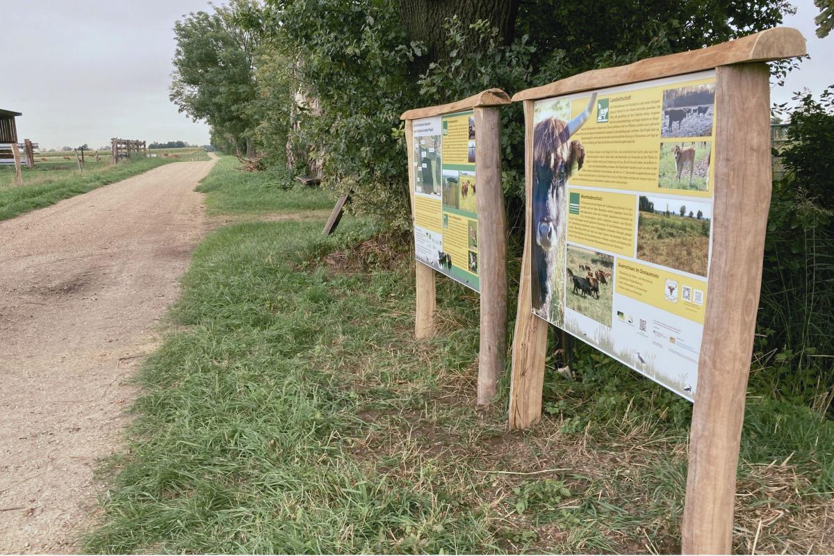 Zwei Infotafeln neben Feldweg zum Thema Moor.