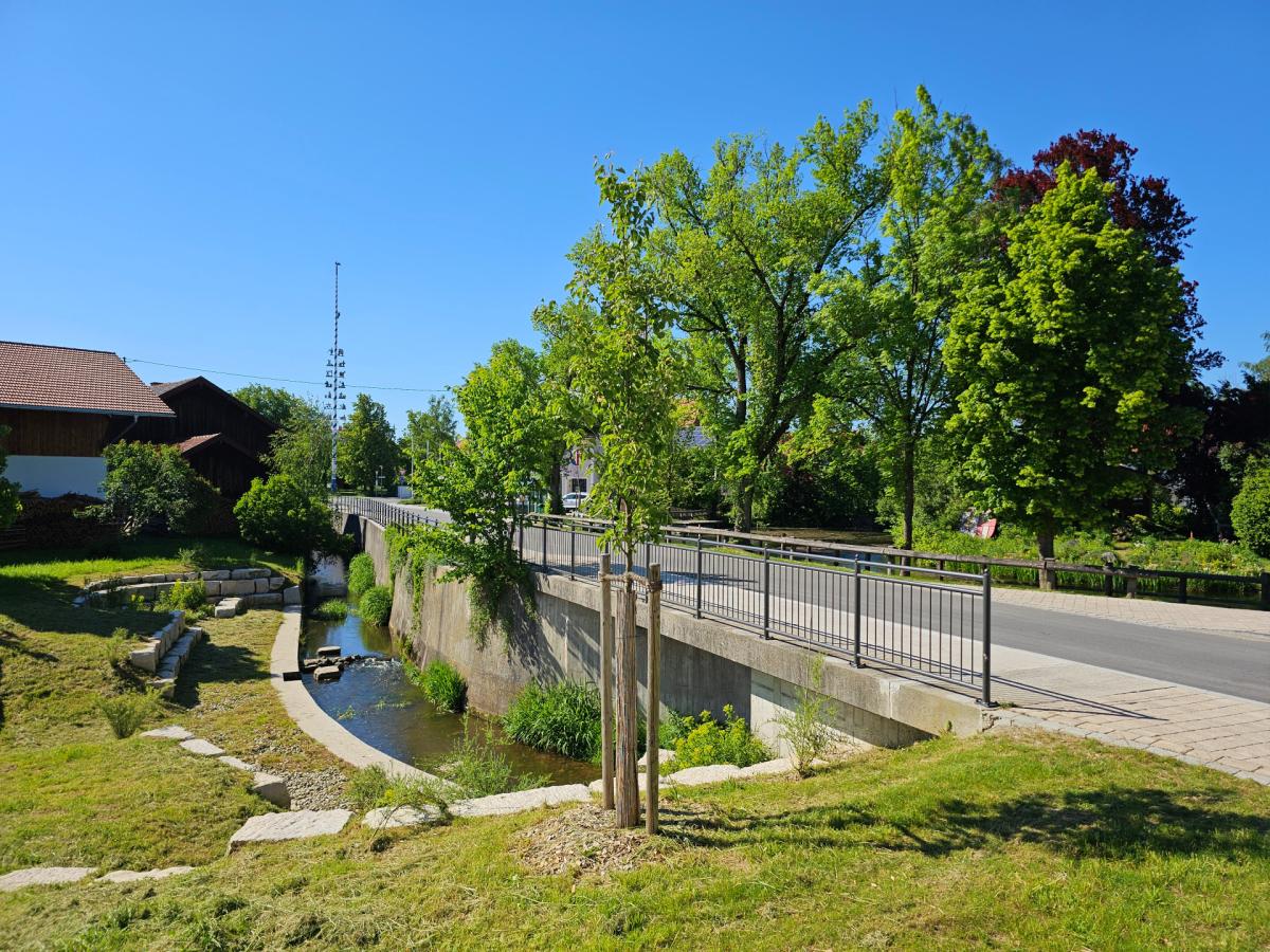 Dorfstraße mit Bäumen und Maibaum im Hintergrund. Vordergrund Dorfbach. Blauer Himmel.