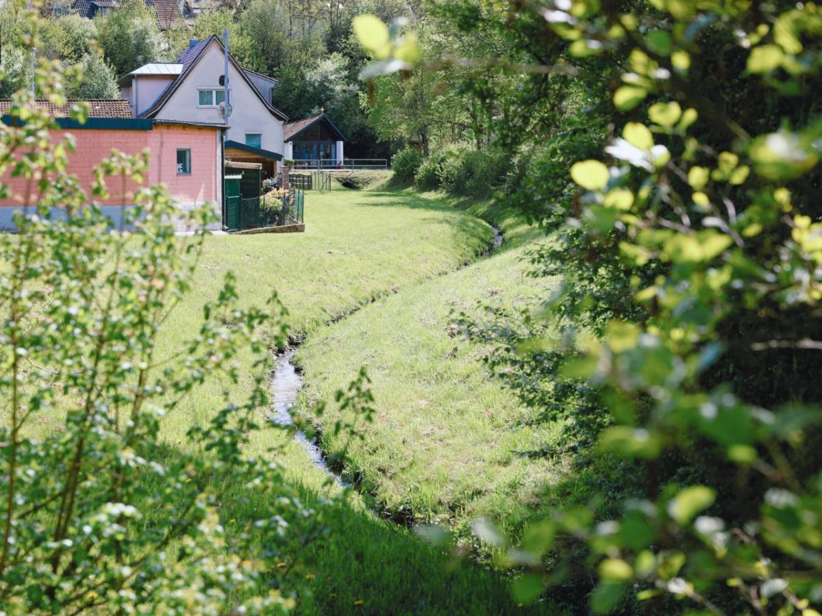 Blick auf begradigten Dorfbach zwischen zwei Wiesen.