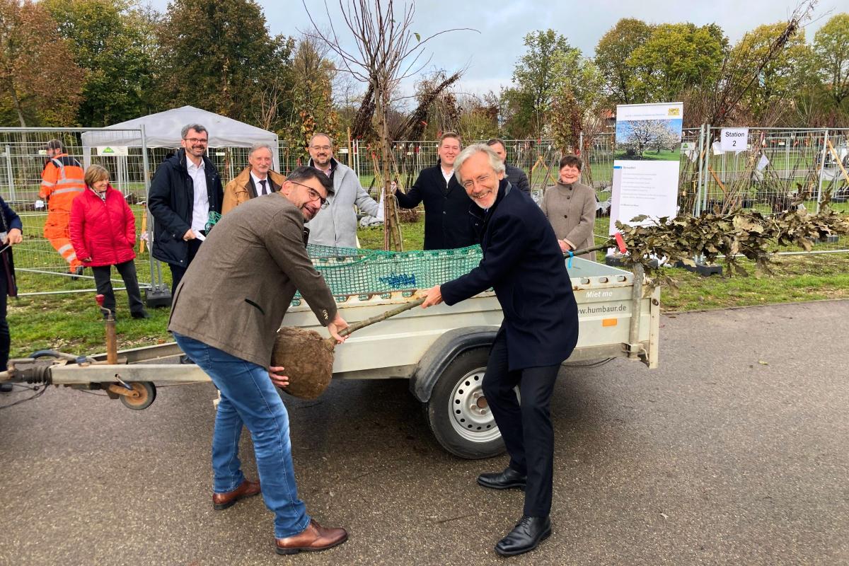 Personen pflanzen einen Baum.