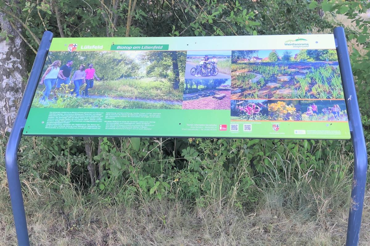 Informationstafel zum Biotop am Lilienfeld.