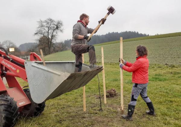 Mann steht auf einer Lader-Schaufel und hämmert Holzpflock in den Boden. Daneben eine Frau mit roter Jacke, sie hält den Pflock fest.