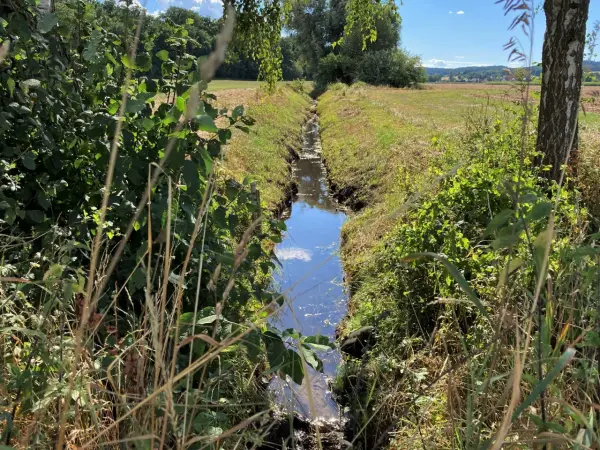 Bewässerungsgraben im Donaumoos