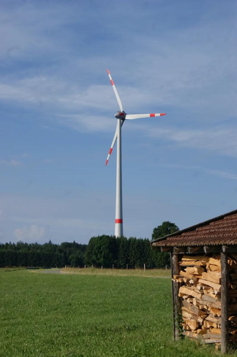 Windrad mit Wald im Vordergrund