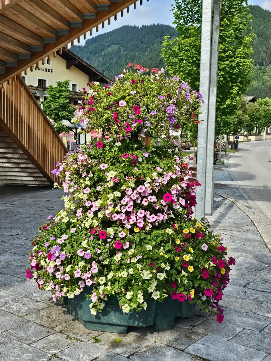 Großer Pflanzkorb bepflanzt mit bunten Blumen auf einer gepflasterten Fläche. Im Hintergrund Bäume und ein gelbes Haus.
