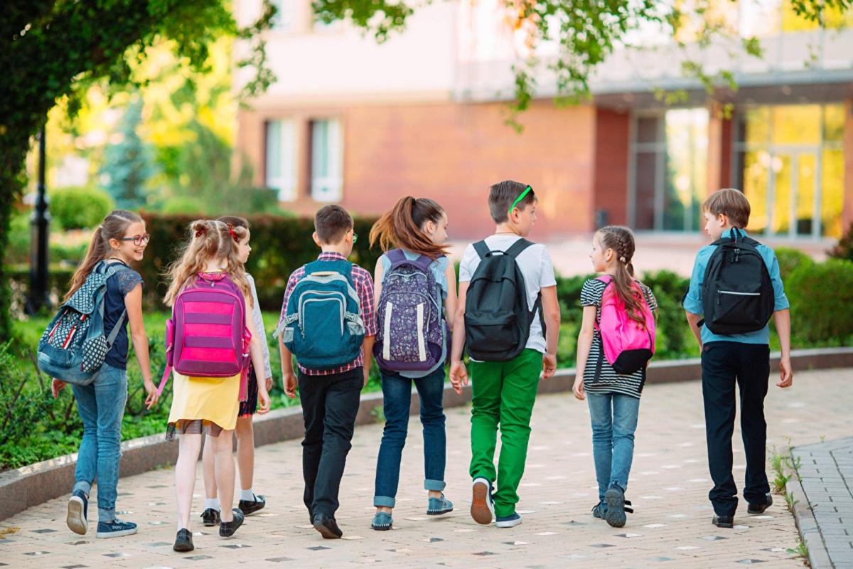 Sieben Schulkinder zu Fuß auf dem Weg in die Schule. Links ein Baum und Grünflächen. Im Huntergrund ein Schulgebäude.