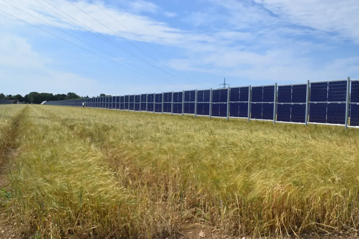 Vertikale Agri-PV-Anlage auf einem Feld