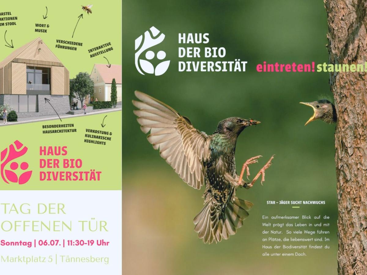 Flyer Tag der offenen Tür Haus der Biodiversität Tännesberg