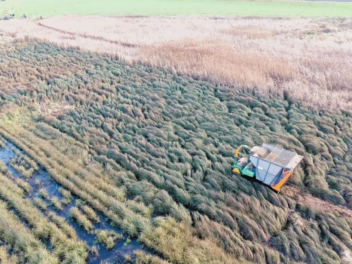 Traktor fährt über eine Wiese im Moor.
