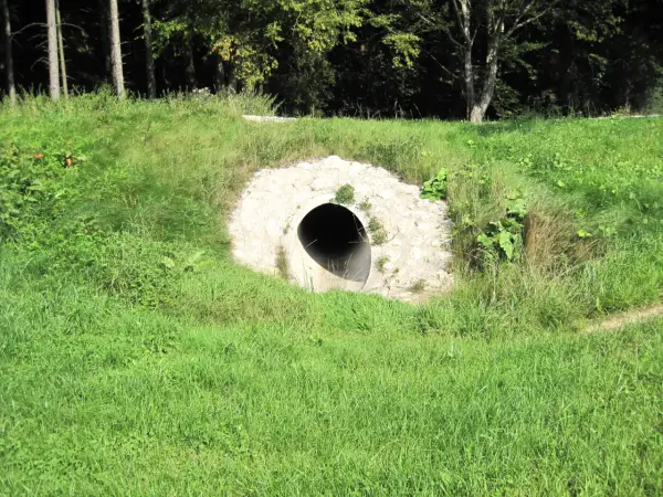 Maßnahme zum Wasserrückhalt