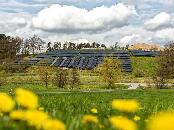 PV-Freiflächenanlagen auf einem Hügel bei guten Wetter. Im Vordergrund gelbe Blumen. Rechts ein Waldstück.