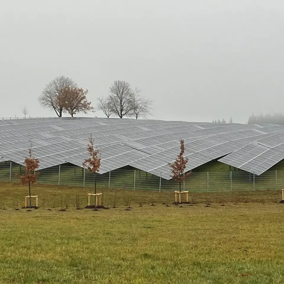Photovoltaik-Freiflächenanlage
