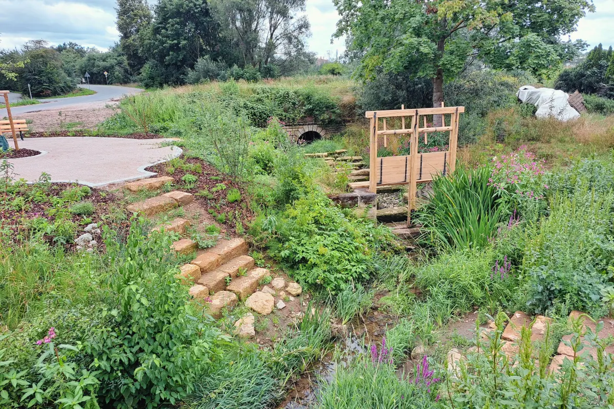 Begrünter Bachlauf mit Trittstufen zum Bach und einer Wehranlage.