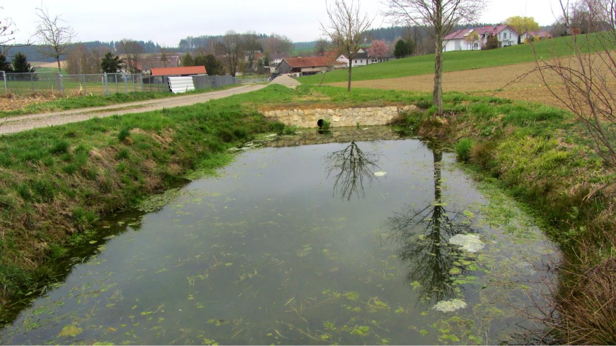Mit Regenwasser gefülltes Becken am Ortsrand.
