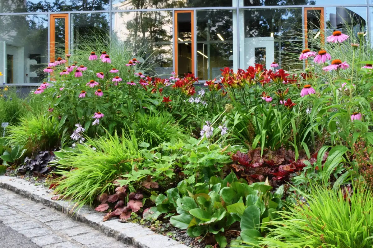 Blühende Blumen und Stauden am Wegrand, Hintergrund Gebäude mit großem Fenster