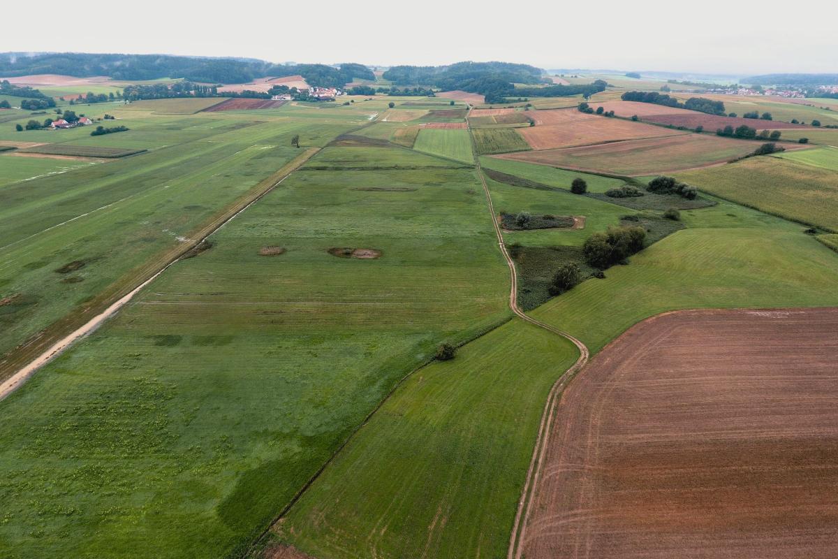 Überblick über Moor aus der Vogelperspektive