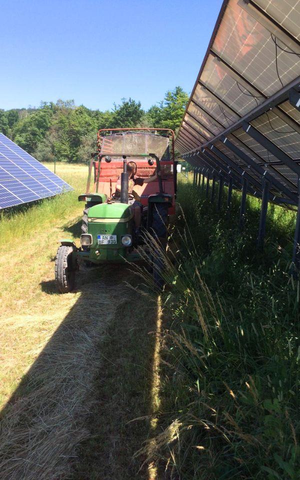 Mahd unter PV-Freiflächenanlage