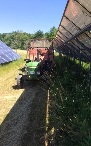 Mahd unter PV-Freiflächenanlage