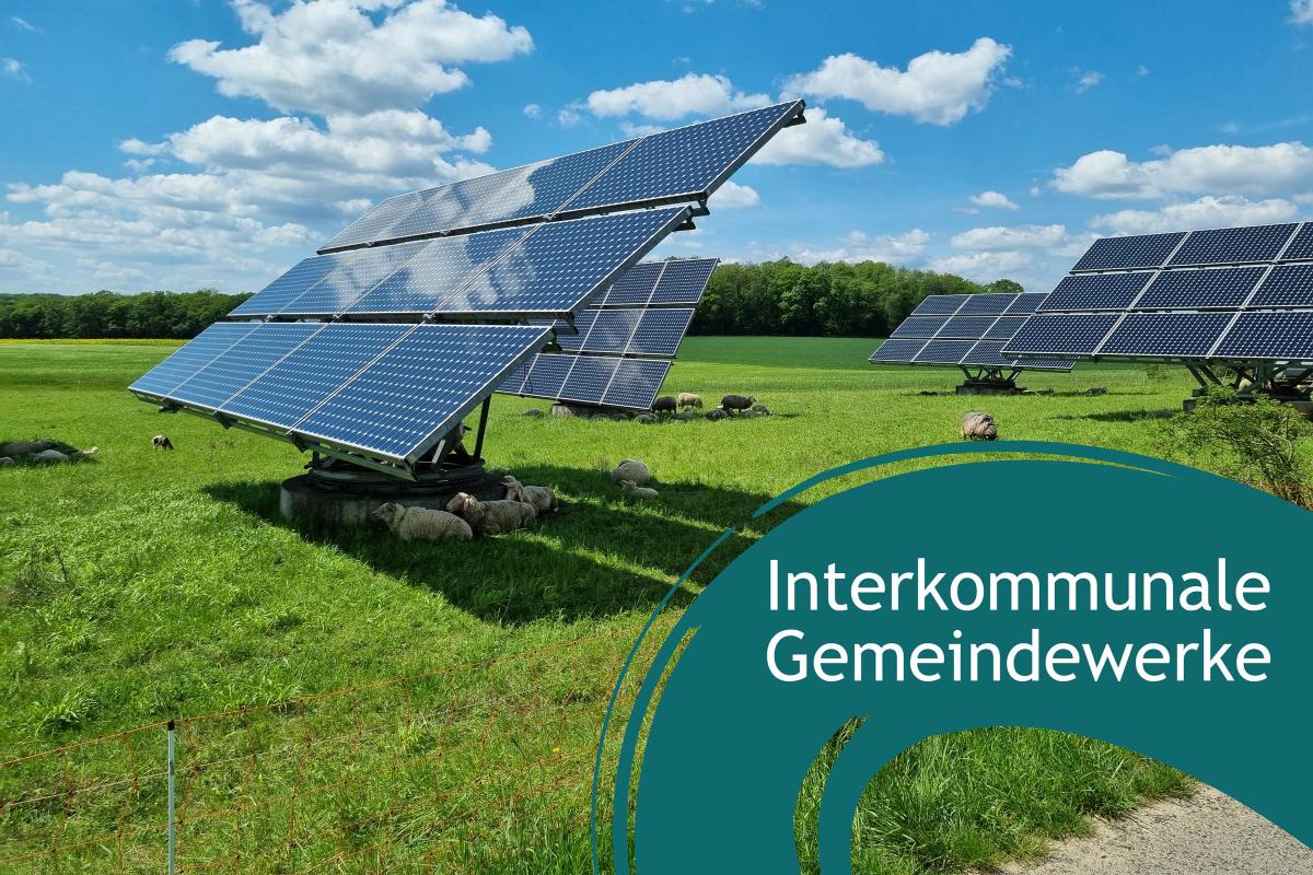 Freiflächen-PV-Anlage bei sinnigem Wetter. Rechte untere Ecke: Blauer Farbbanner mit dem Schriftzug "interkommunale Gemeindewerke"