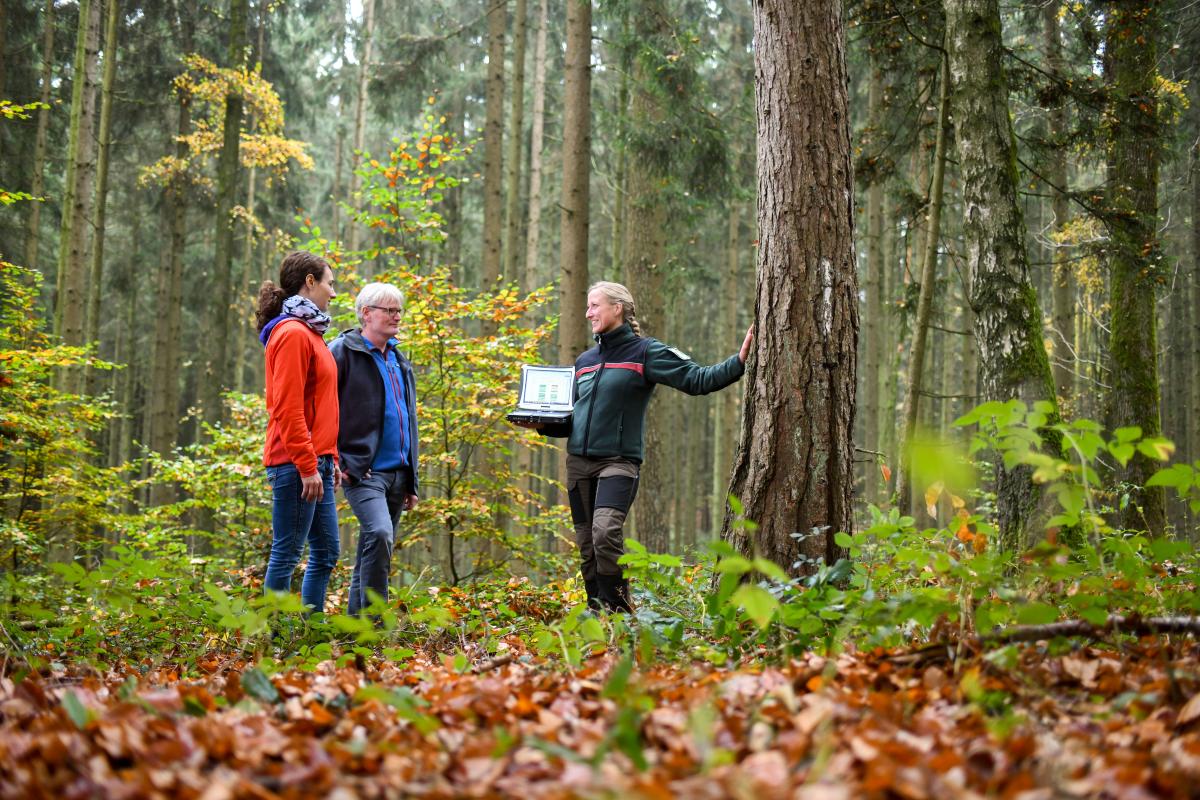 Försterin in Dienstkleidung und mit Toughbook berät Waldbesitzerpaar in einem Waldbestand. Bei dem Waldbestand handelt es sich um einen Mischwald.