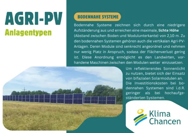 Infografik mit Abbildung einer vertikalen Agri-PV-Anlage und Infos zum Anlagentyp