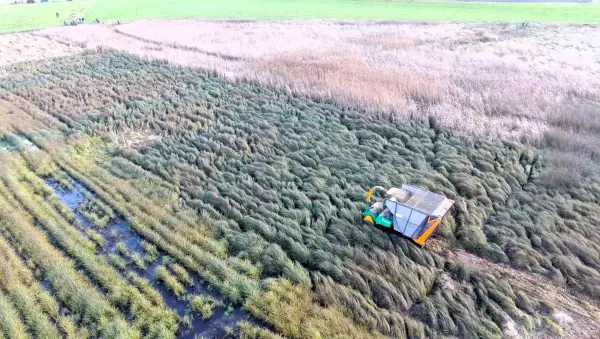 Traktor fährt über eine Wiese im Moor.