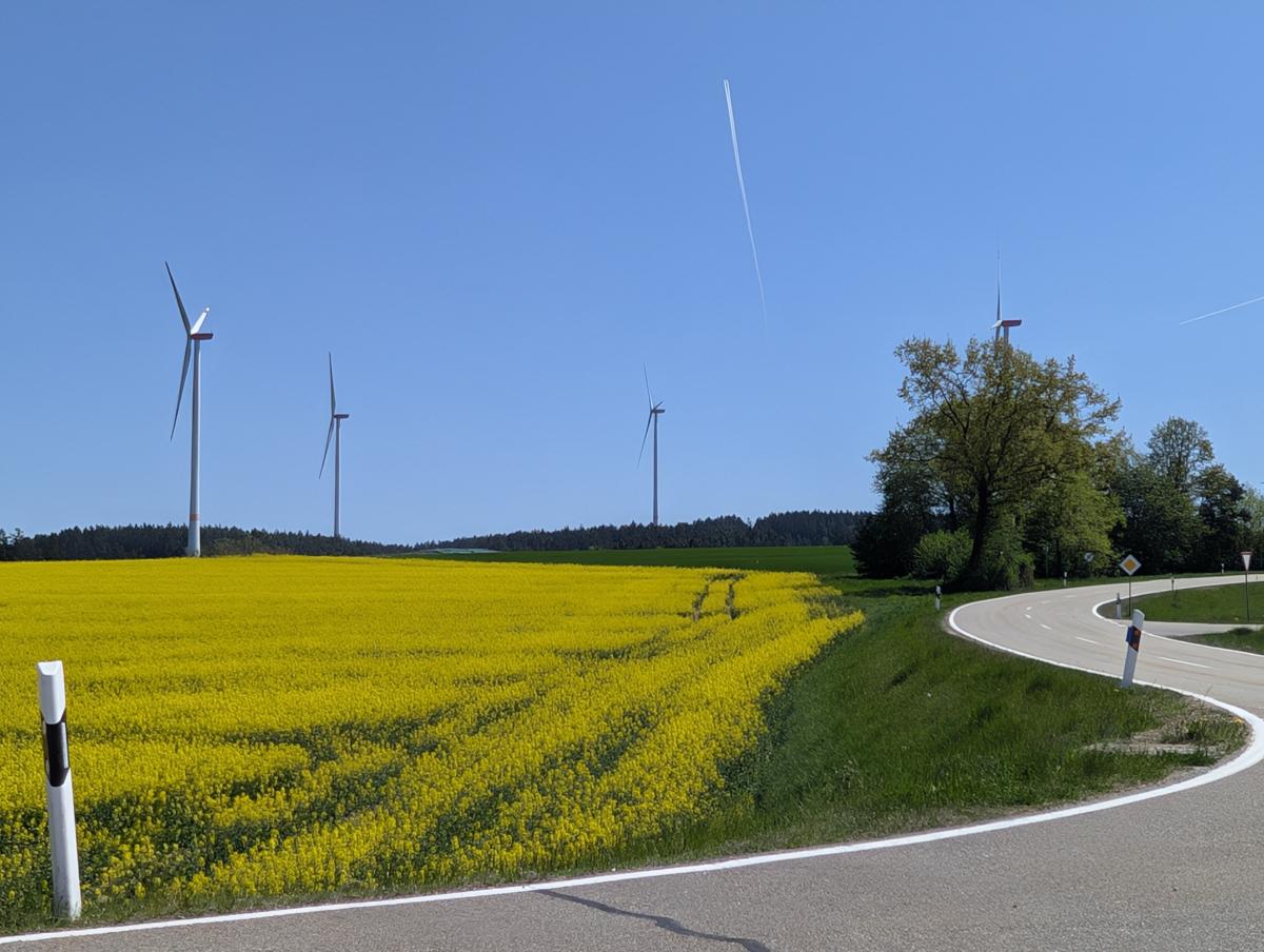Vier Windräder hinter einem Rapsfeld bei blauem Himmel.