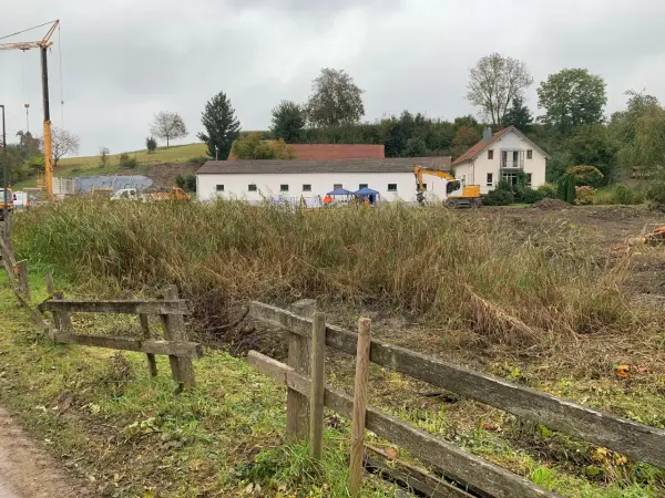 Zugewachsener Weiher. Wasser nicht mehr sichtbar. Im Hintergrund ein Kran und Gebäude.