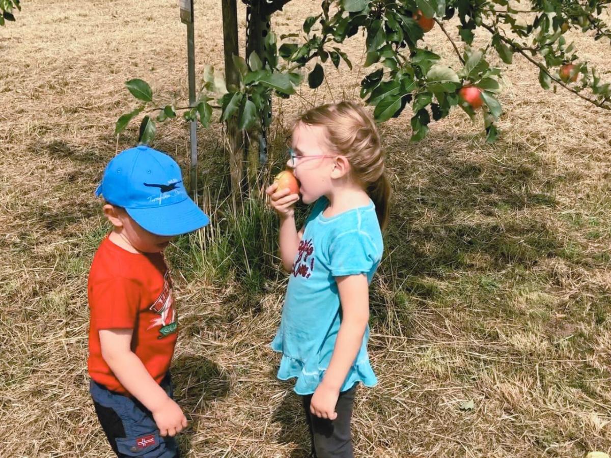 Zwei Kinder vor Streuobstbaum. Mädchen beist in Apfel.