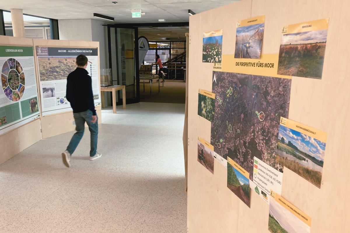 Mann läuft durch die Wanderausstellung mit den Aufstellerwänden links und rechts.