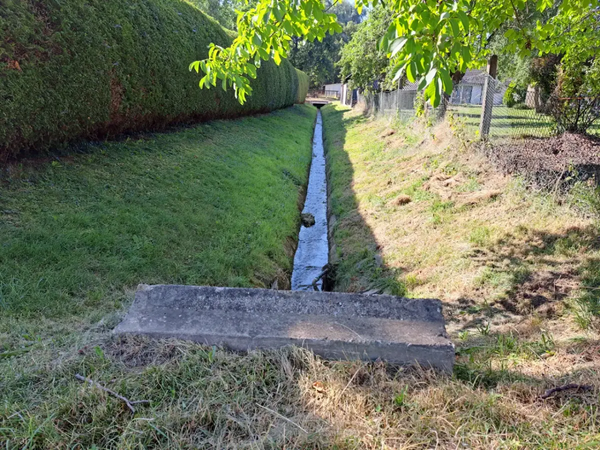 Gerader Bach. Links Hecke, rechts Bäume.