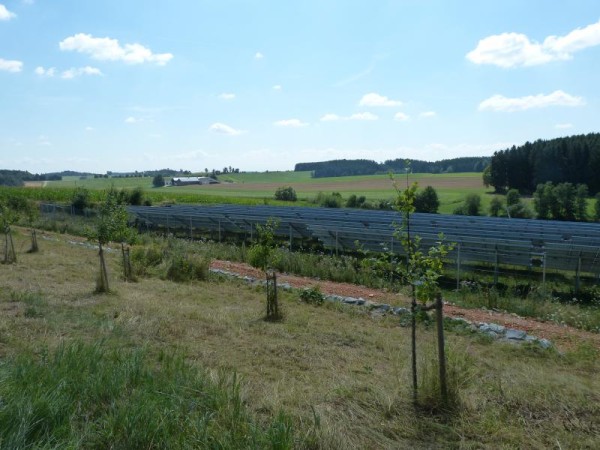 Freiflächen-PV-Anlage in der Landschaft