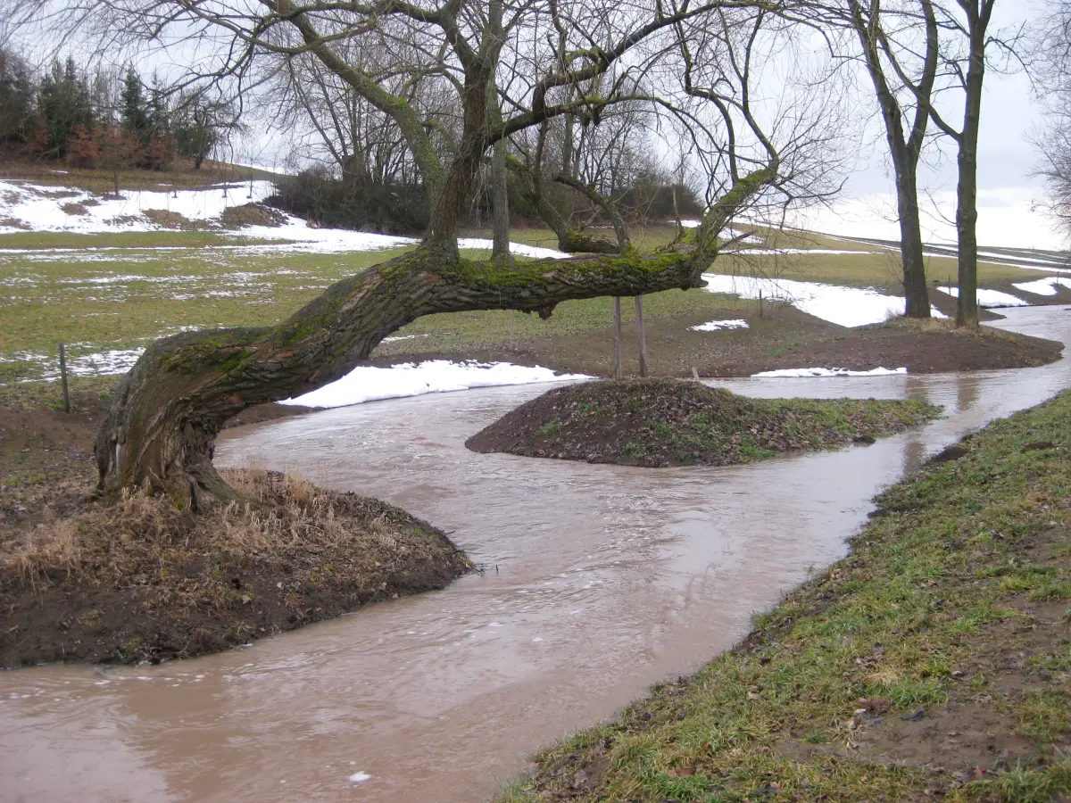 Aufnahme eine Hochwassersituation im gewundenen Bachlauf.