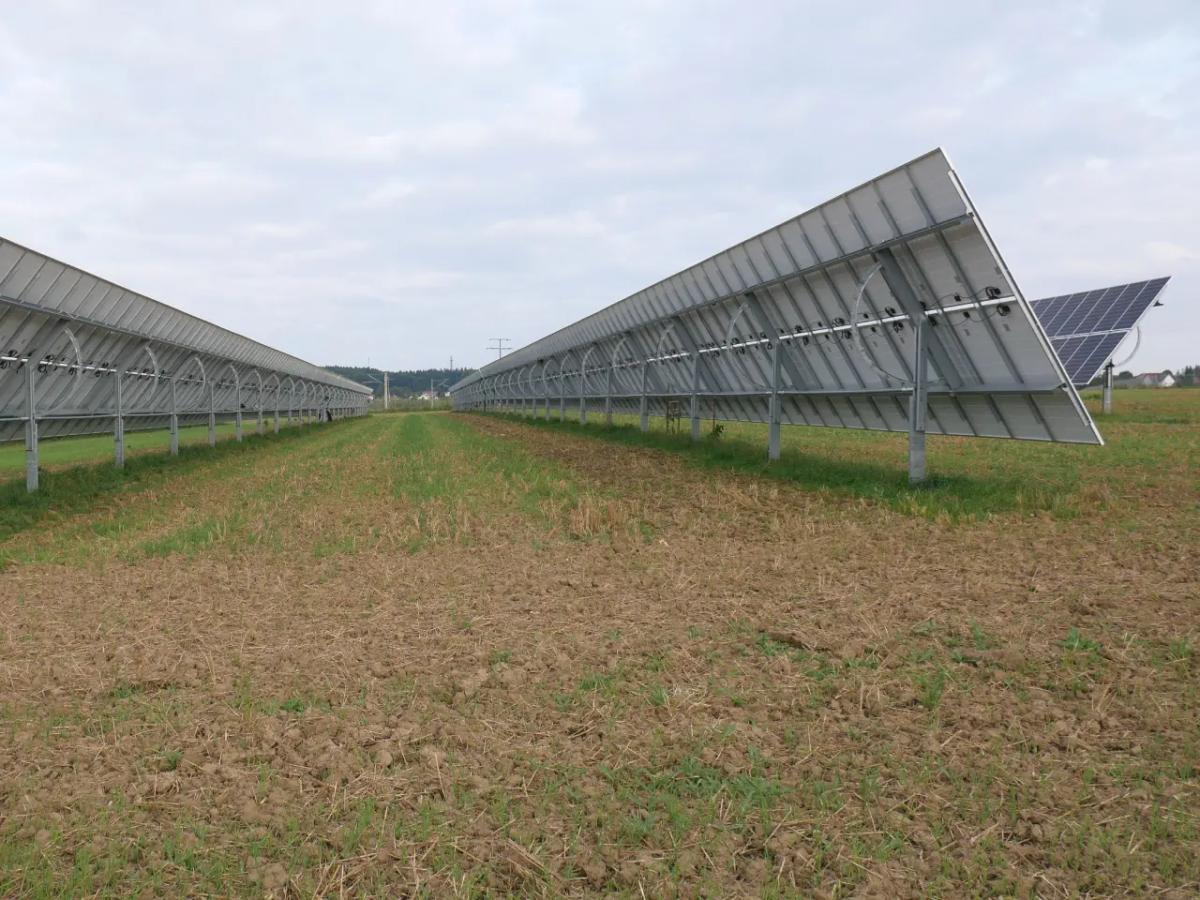 Module können so ausgerichtet werden, dass der Landwirt die Fläche dazwischen bewirtschaften kann
