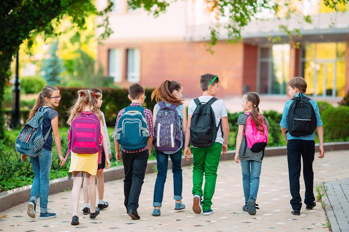 Schulkinder, von hinten fotografiert, gehen auf einem Weg.