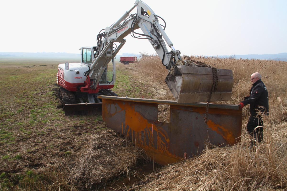 Bagger hebt Drainagensperre in Drainage. Mann führt die Sperre.