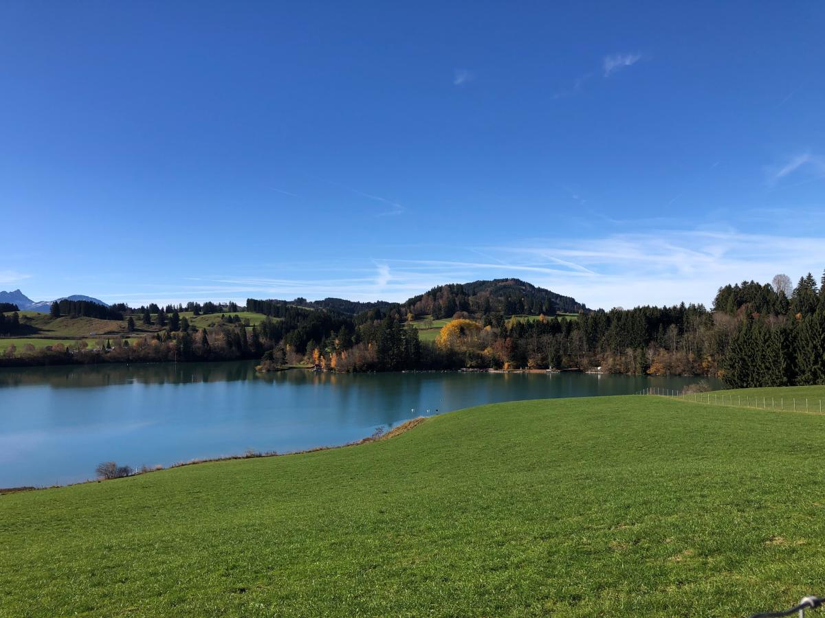 See neben grüner Wiese.