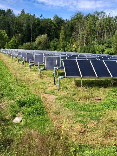 Im Sommer deckt die Solarthermie den Bedarf, im Winter werden auch Hackschnitzel verwendet | © Willi Mirus Solarthermie-Feld in Moosach