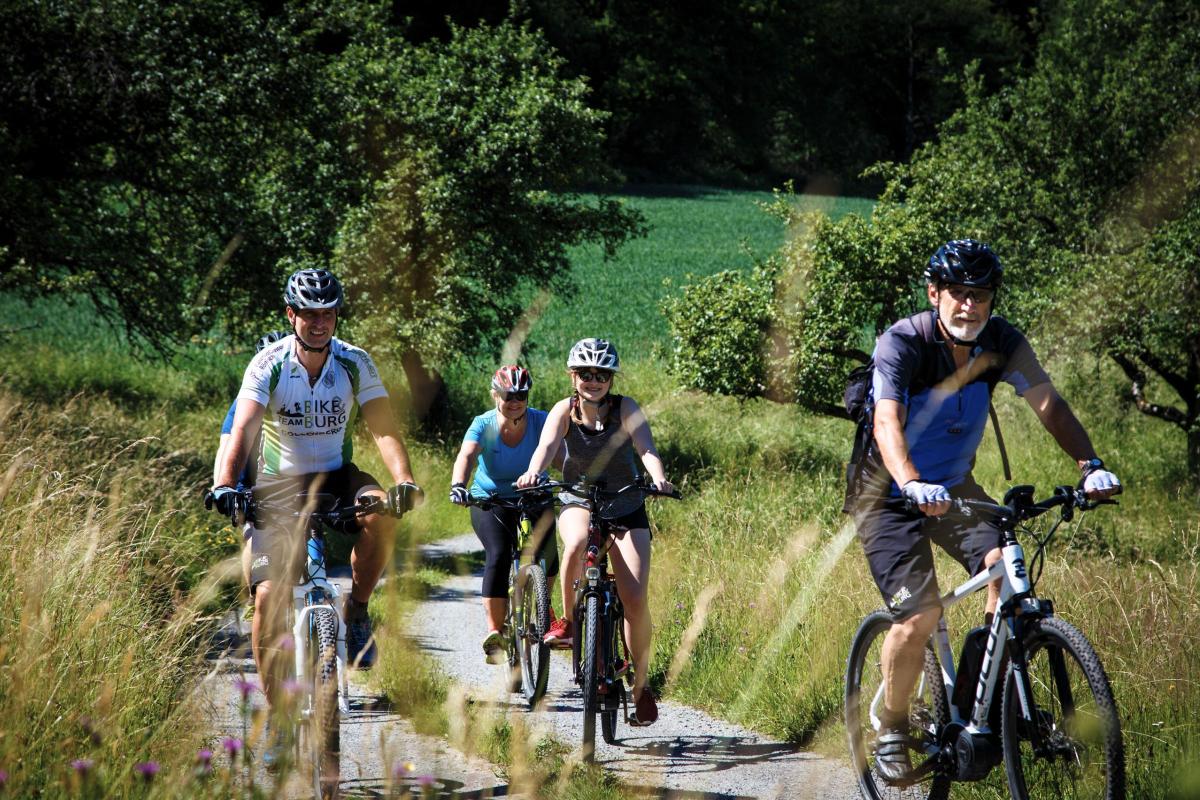 Vier Menschen fahren mit dem Fahrrad durch die Landschaft.