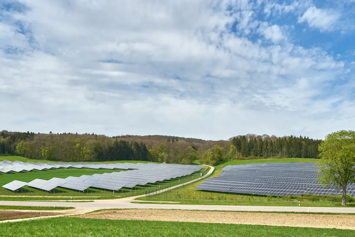 PV-Freiflächenanlage bei gutem Wetter auf einem Feld. Im Hintergrund ein Mischwald.