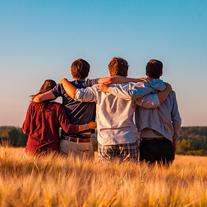 Vier sich umarmende Jugendliche in einem Kornfeld